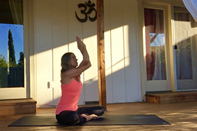 Yoga for Beginners Reduce Shoulder Pain