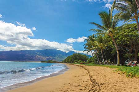 Yoga Retreat Hawaii