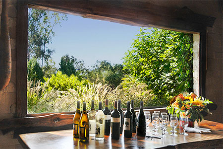 Yoga Retreat with Hiking and Wine Tasting in Sonoma Wine Country