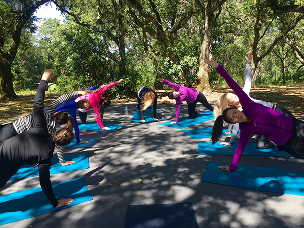 Yoga Outdoors San Francisco Bay Area