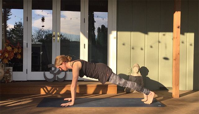 No, Chaturanga Is Not a Pushup—Here's Why - Sonima