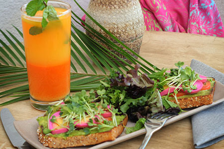 Yoga Retreat California