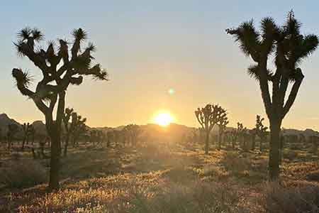 California Yoga Retreat