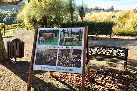 Benziger Biodynamic Winery Sonoma