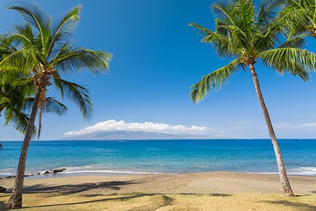 Yoga Retreat Hawaii Beach