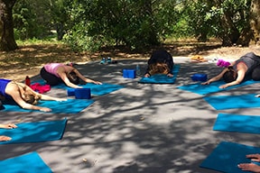 Yoga Retreats and Events in Sonoma