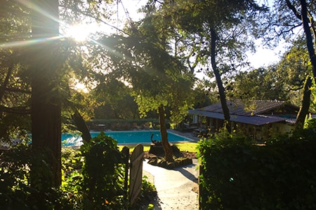 Yoga Retreat with Hiking and Wine Tasting in Sonoma