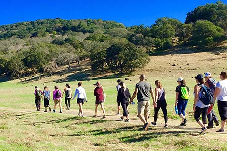 Weekend Yoga Retreat with Hiking and Wine Tasting in Sonoma Wine Country