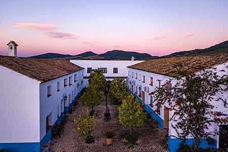 Yoga Retreats Spain