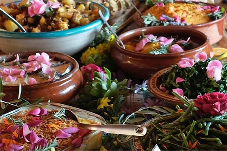 Spain Farm to Table Meals