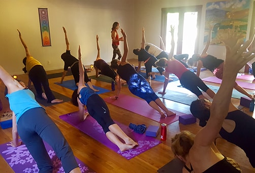 Vinyasa Flow Yoga Classes for Everyone